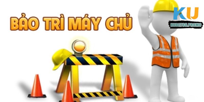 Tần suất bảo trì của Kubet88